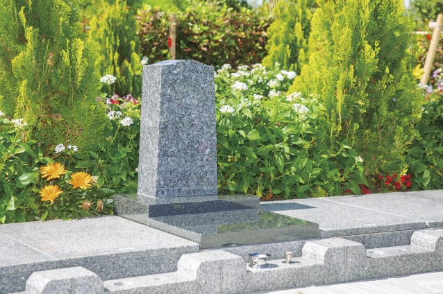 植栽樹について